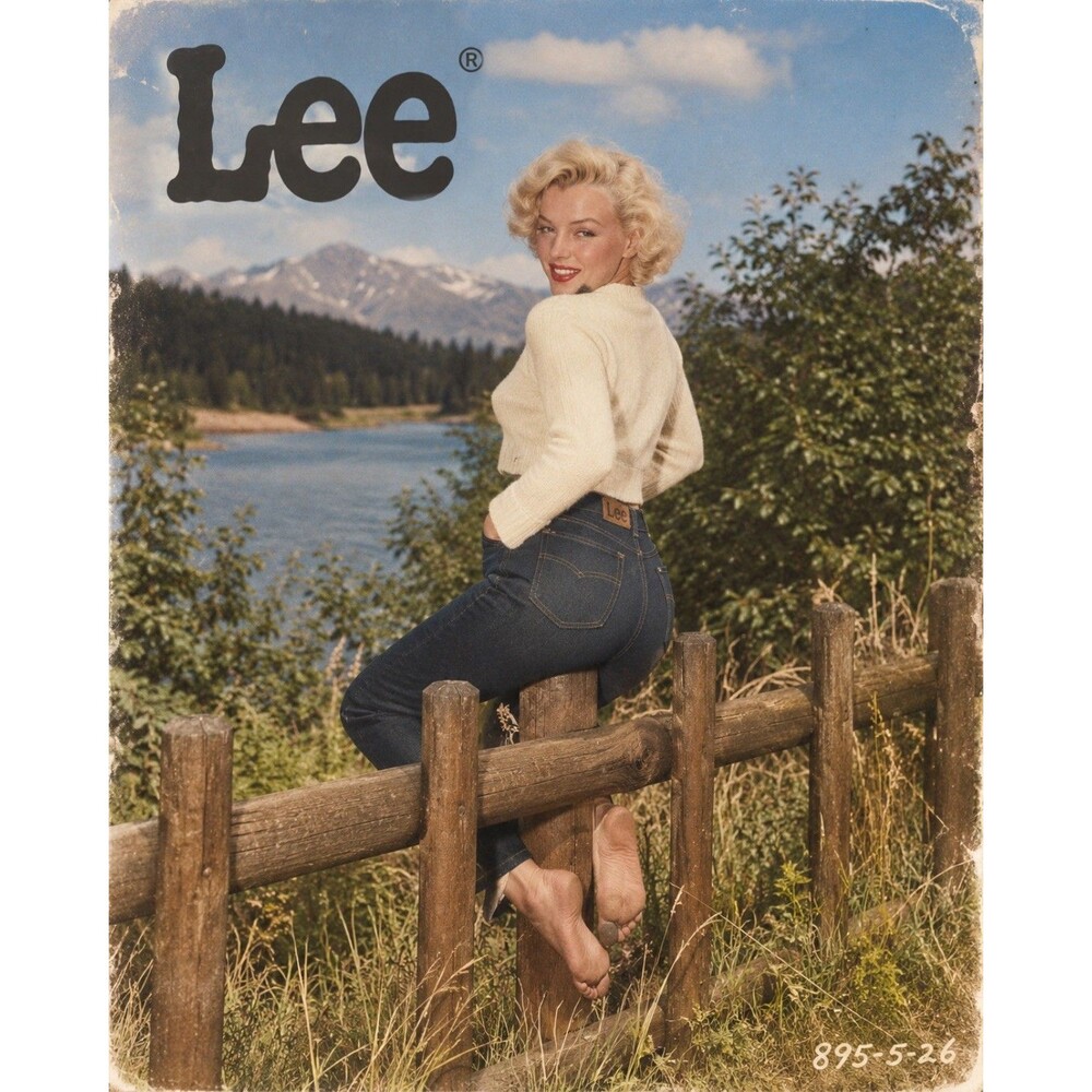 Lee Legendary Mom Jeans Women 10 Short High Rise Dark Wash Denim NWT